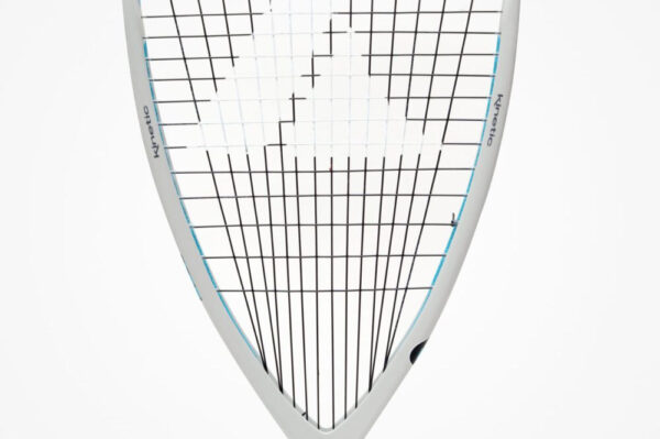 2023 Black Ace Pro 170 - Image 2